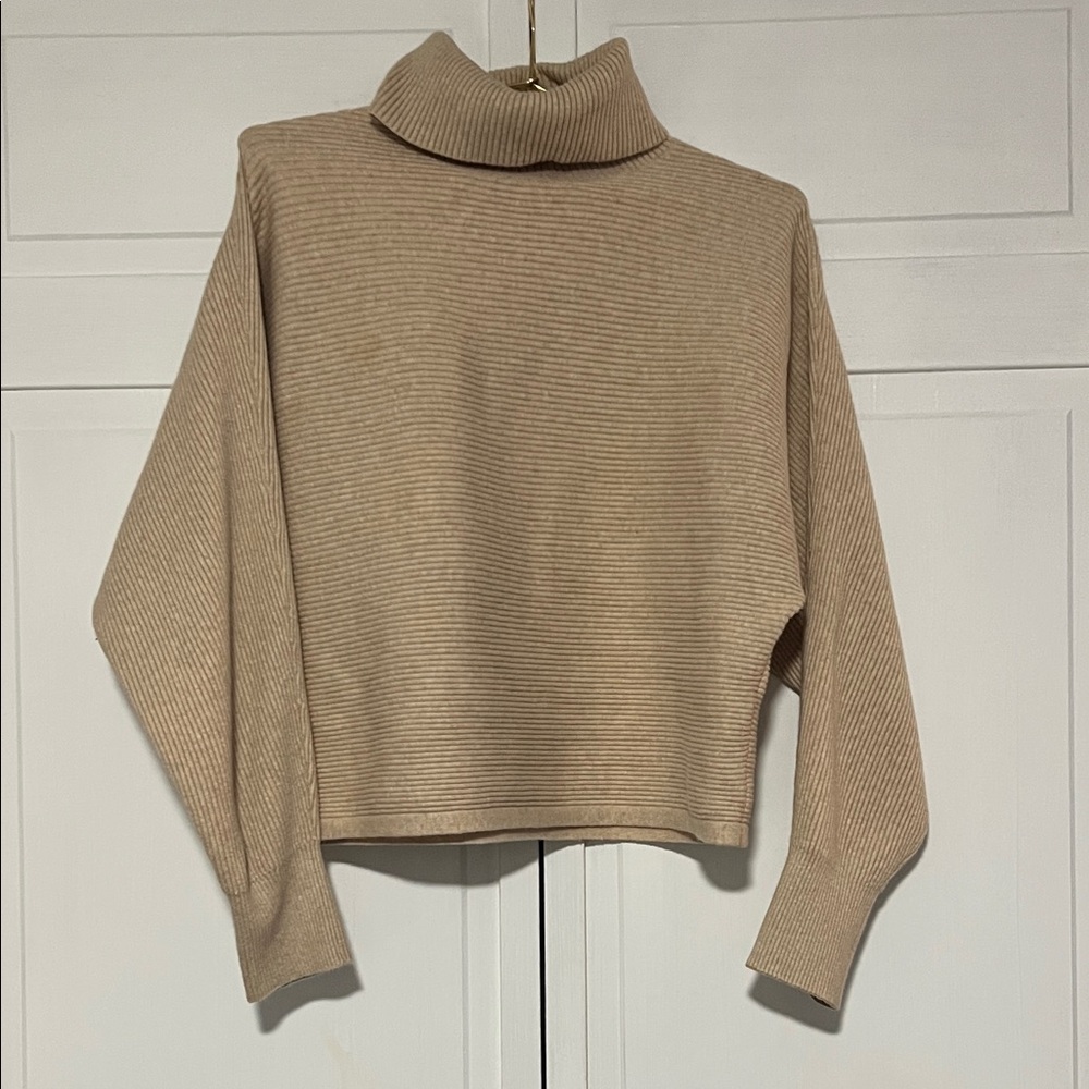 Old Navy Cropped Ribbed Turtleneck Sweater in Beige